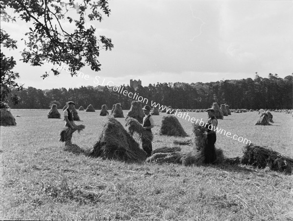 HARVESTING